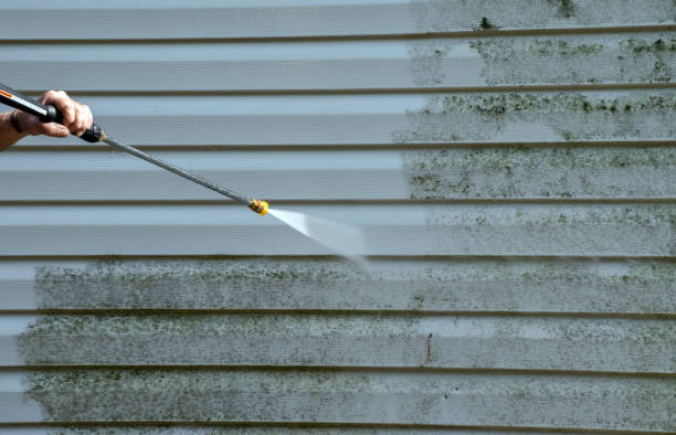 Best Fence Cleaning  in Wixom, MI